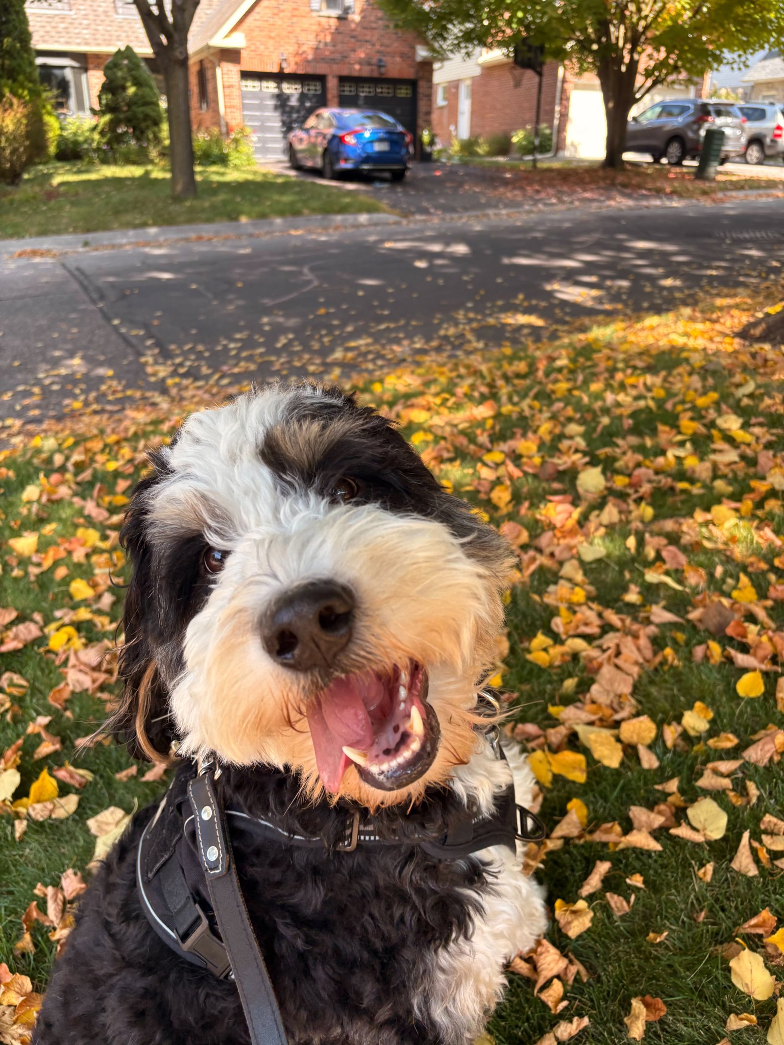 Playtime during a drop-in visit
